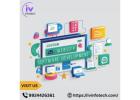 Custom Website & Software Development Solutions for Business