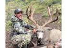 When is the Best Time for Elk Hunting in Jackson Hole?