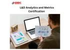 Building a Future-Ready L&D Team with Certified Analytics & Metrics Professionals.