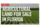 Explore Prime Agricultural Land for Sale in Florida 