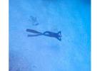 AIDA 3 Freediving Coure Bayahibe | Freedivingdr.com