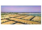 Plots in Vrindavan Near Prem Mandir