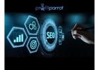 Discover The Best Company of SEO in Windsor