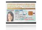 International Driving Permit