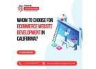 How to Elevate Business With an eCommerce Development Company in California?