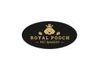 Delicious Dog Birthday Cakes & Top Pet Bakery Services in Rithala & Rohini