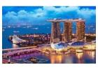 Book International Tour Packages with Affordable Price