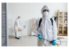 Pest Control Services in Noida – Indeed Pest Control