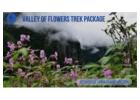 Discover the Enchanting Valley of Flowers – A Himalayan Paradise!